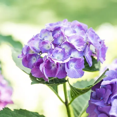 Der Landhof Lägenhet Oberstdorf