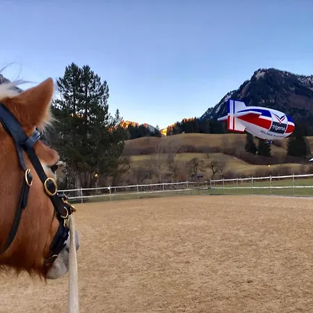 Der Landhof Apartment *